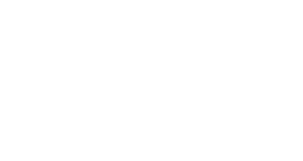 Perfect Havoc